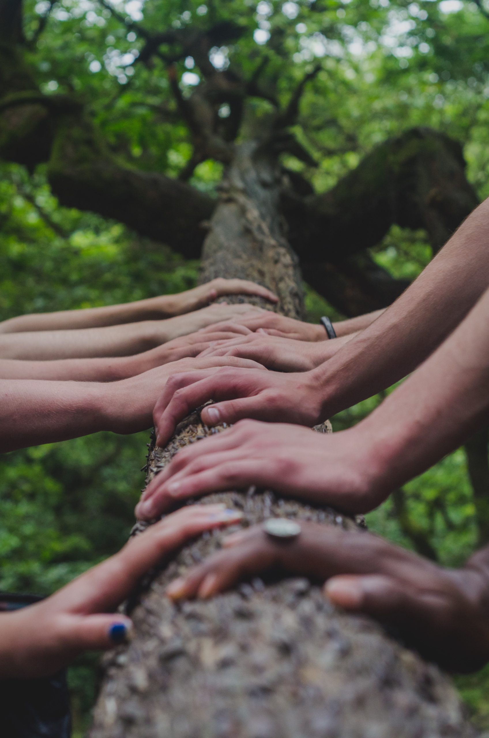 attorney lien in family law